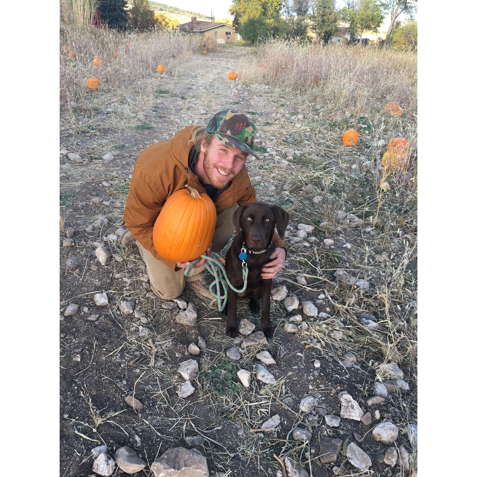 Honey's first Halloween pumpkin at our neighbor's farm