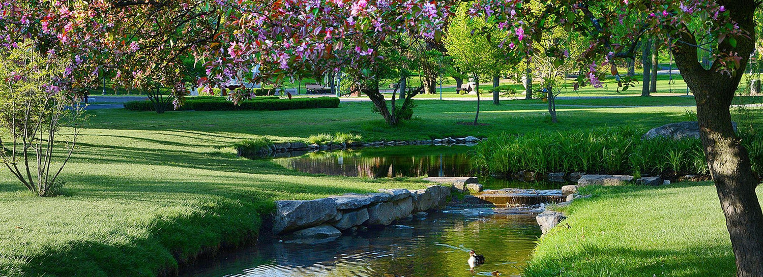 The Wedding Website of Nicole Bull and Craig Alread