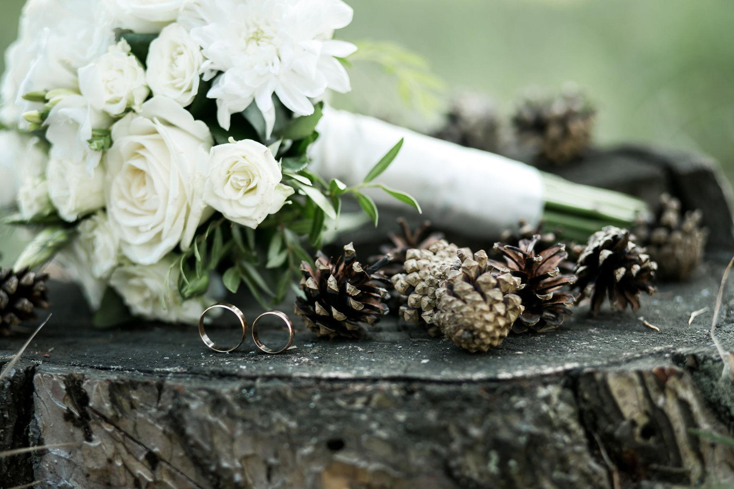 The Wedding Website of Miri Vushoma and Sheila Nyandoro