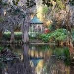 Magnolia Plantation and Gardens