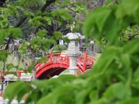 Jardín Japonés