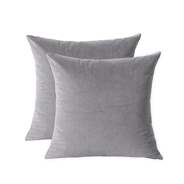 LDXHXS Throw Pillow Covers for Couch and Bed,Velvet Decorative Soft Square Throw Pillows-2pcs (18"X18", Gray)