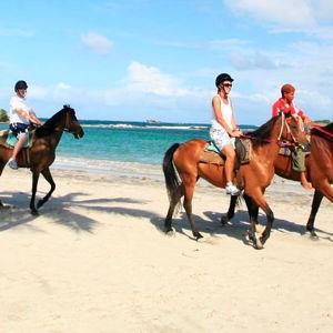 Horse Back Riding