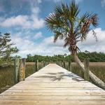 Palmetto Islands County Park