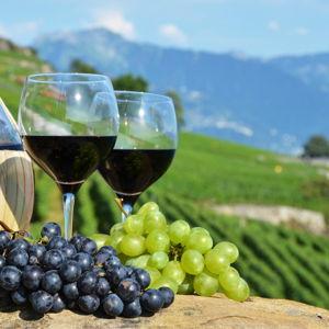 Our Italy Honeymoon Fund