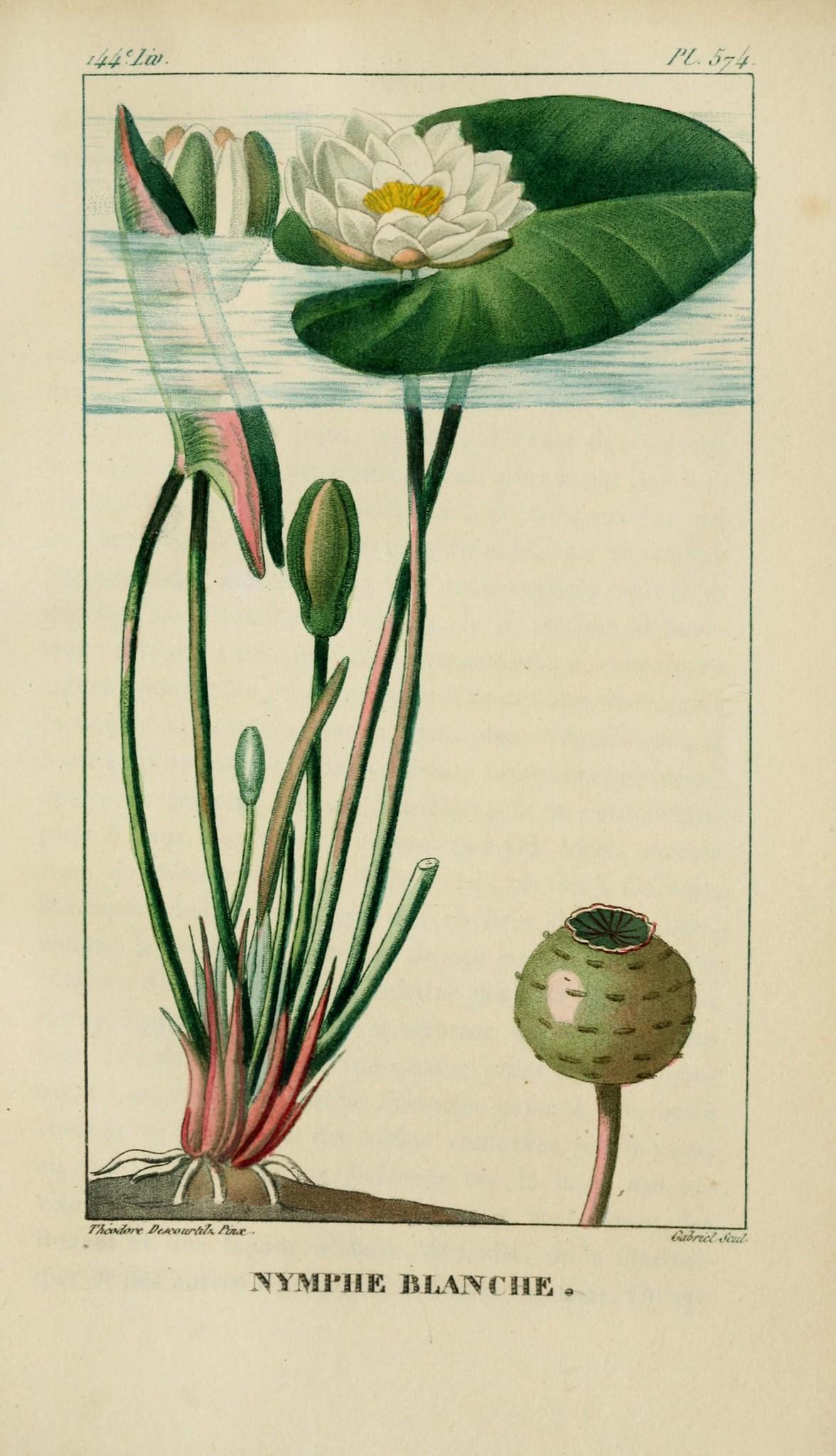 The Wedding Website of Lily Kingsolver and Phillip Hall