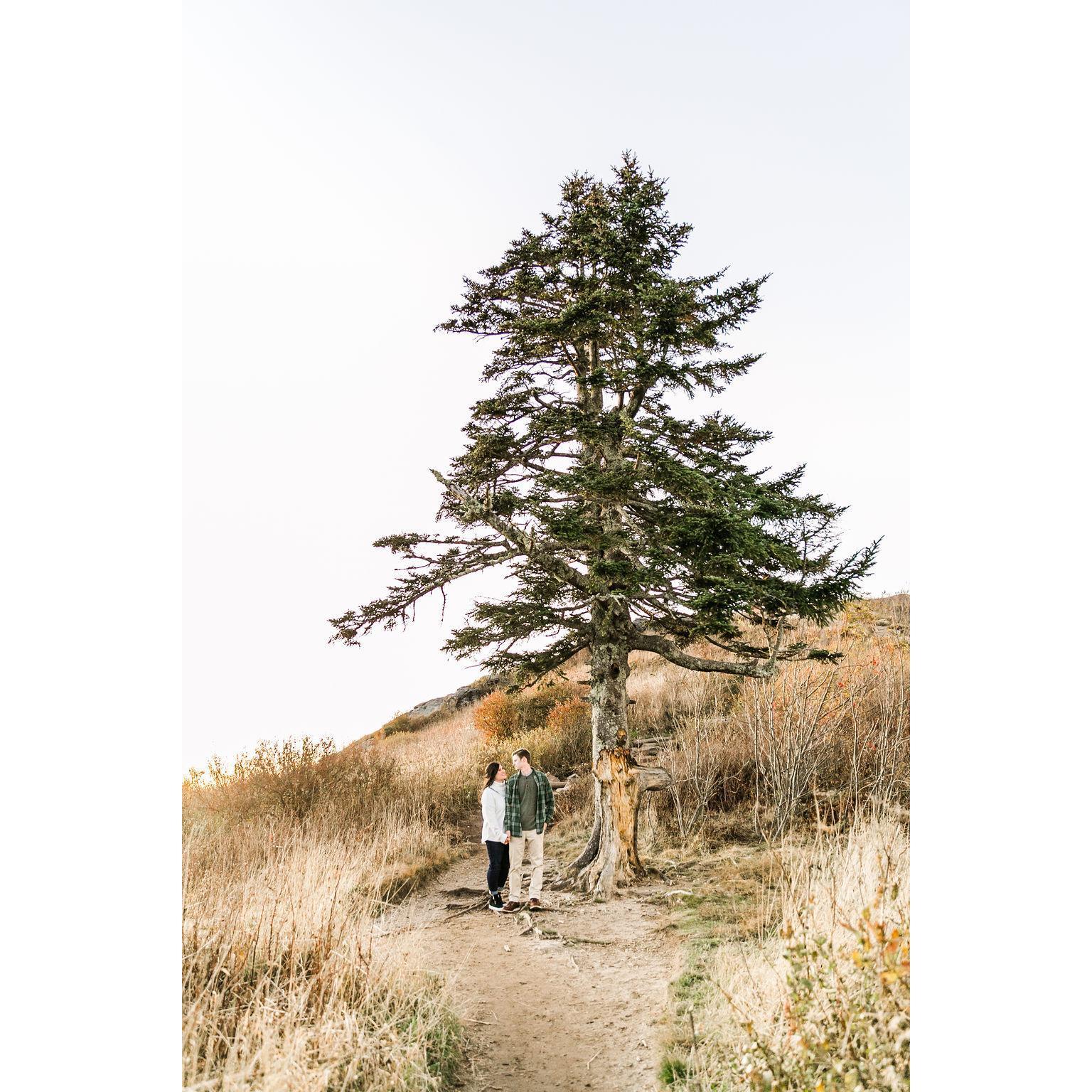 Engagement photos in the mountains. 

Photographer: Amber Hatley Photography