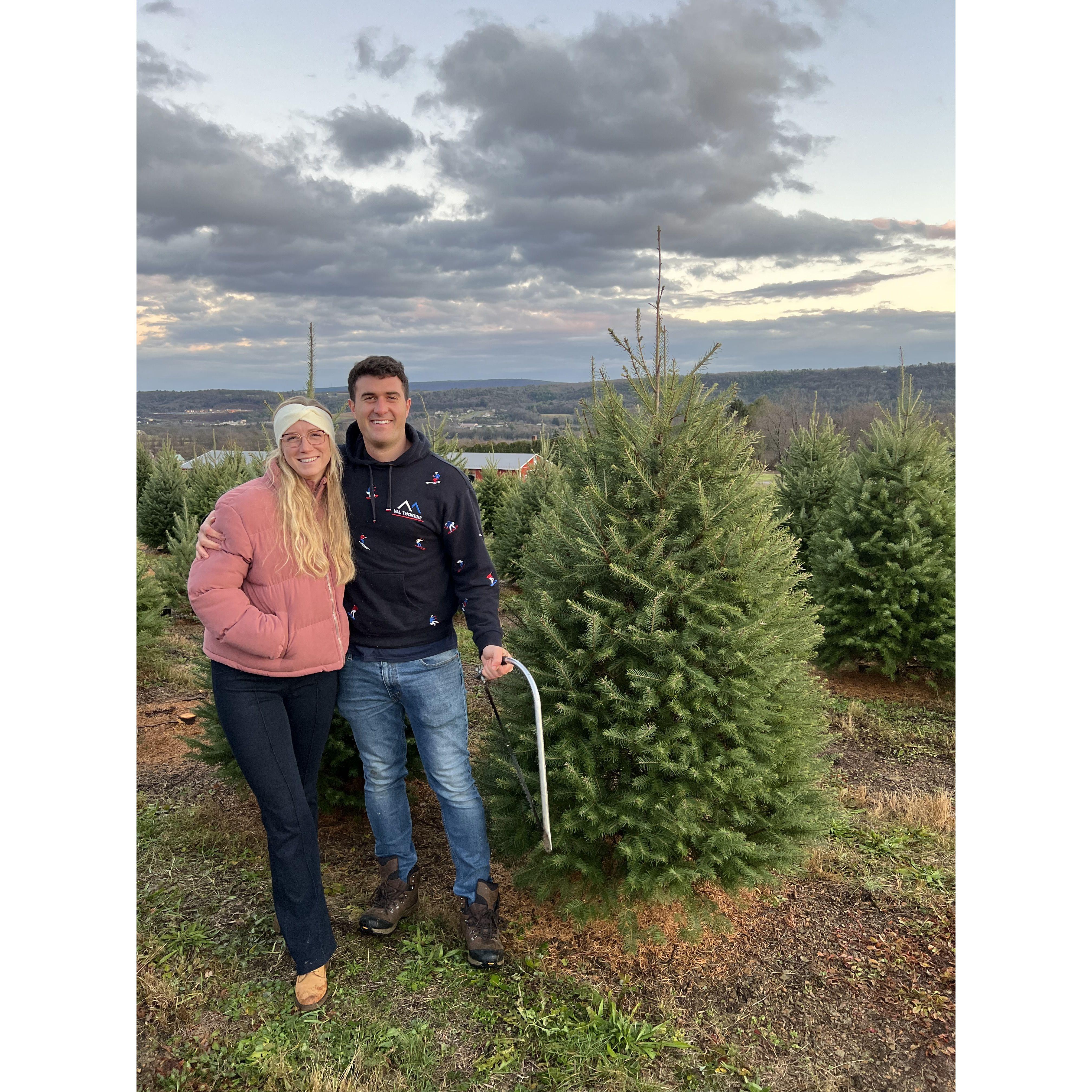 Dan chopped down his first Christmas tree, thanks to the help of Holly & Damian