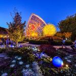 Chihuly Garden and Glass