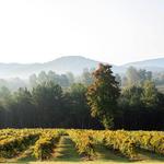 Wineries