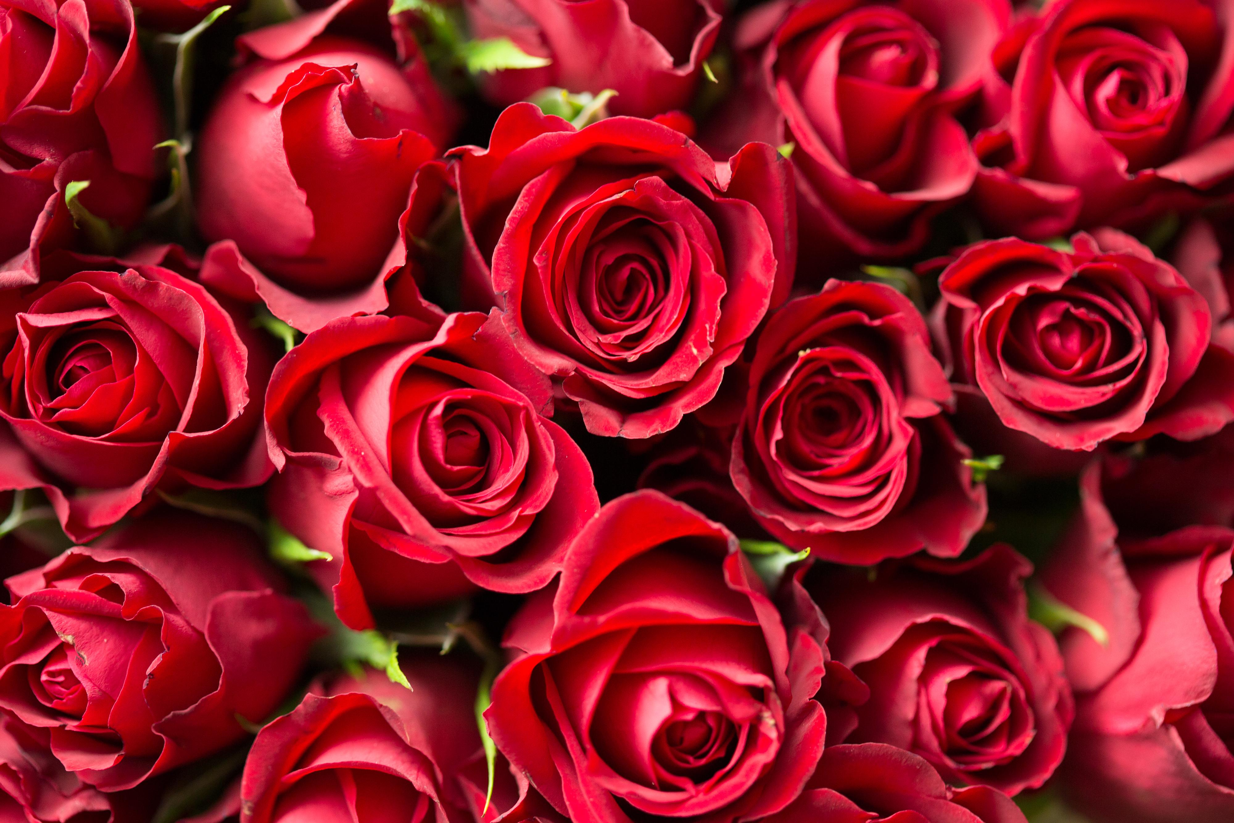 The Wedding Website of Patricia E Sorlingas and Craig Fuller
