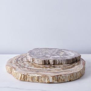 Petrified Wood Serving Board - SMALL