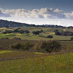 Santa Ynez