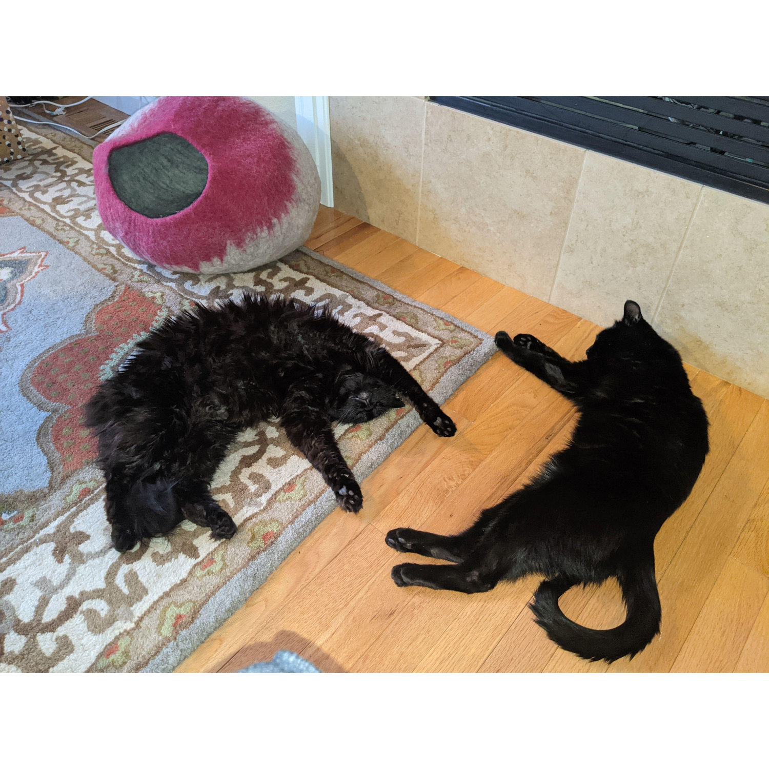 zula (left) romeow (right)