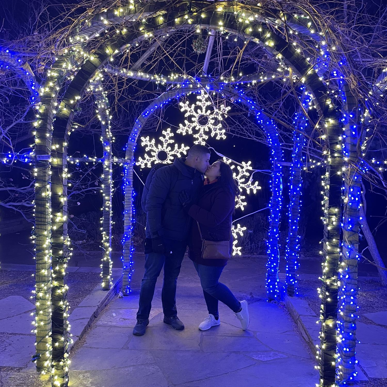 Denver Botanic Gardens- Blossoms of Light