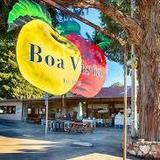 Boa Vista Orchards
