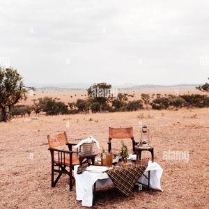 Gourmet Safari Picnic