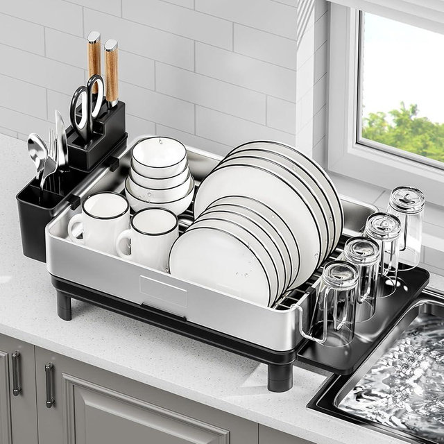 Ewaiira Dish Drying Rack, 304 Stainless Steel Dish Racks for Kitchen Counter, Dish Drainers with Automatic Drainage, Utensil Holder & Cups Holder, Space Saving Kitchen Organizer, Black