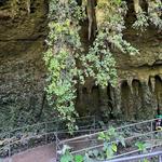 Parque Nacional de las Cavernas del Río Camuy