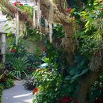 San Antonio Botanical Garden