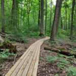 Edwin L Smith Preserve