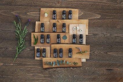 Top-16 Essential Oil Set