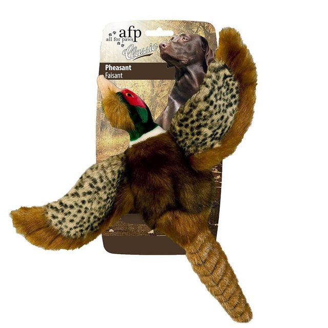 ALL FOR PAWS Dog Interactive Pheasant Toys, Squeaky Dog Toys, Stuffed Animal Dog Hunting Plush Toy, Large