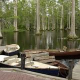 Cypress Gardens