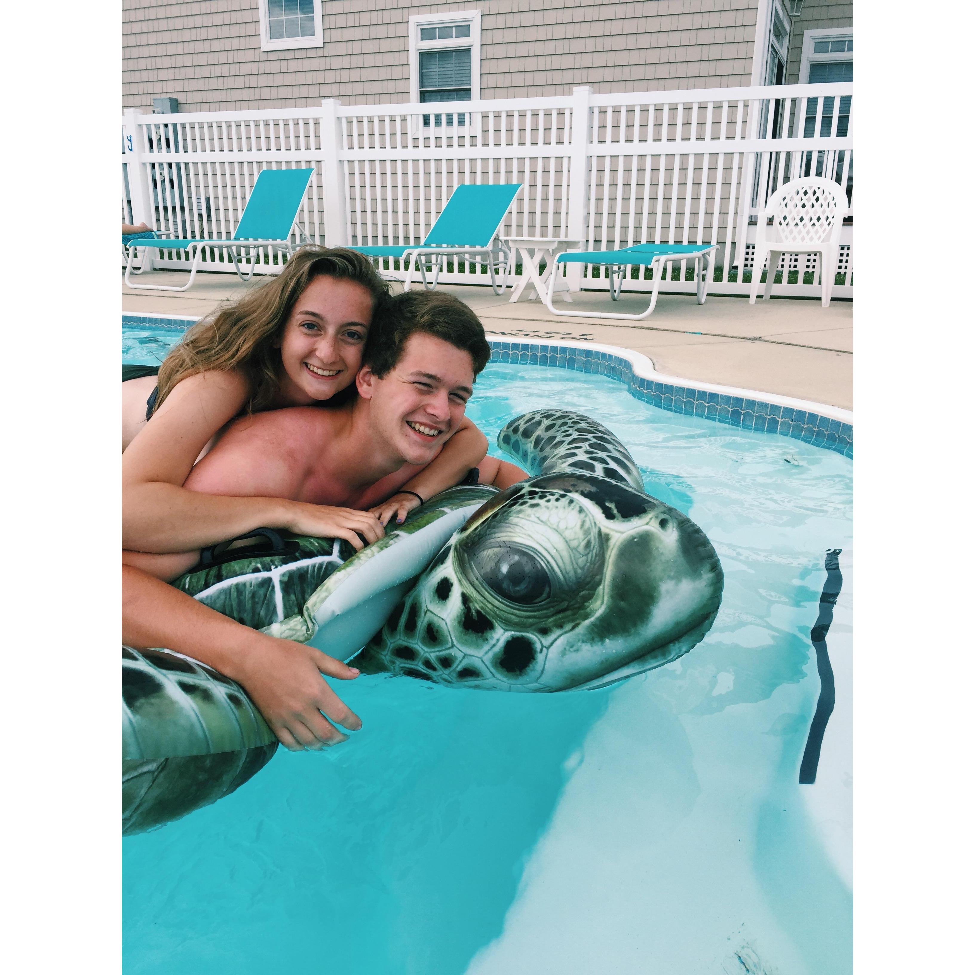 Had to include one with a turtle.