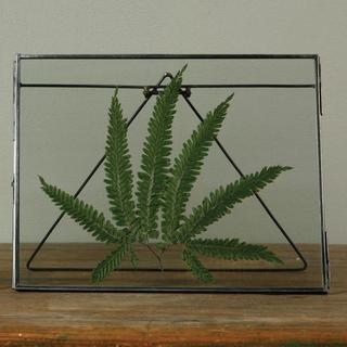 Pierre Easel Frame