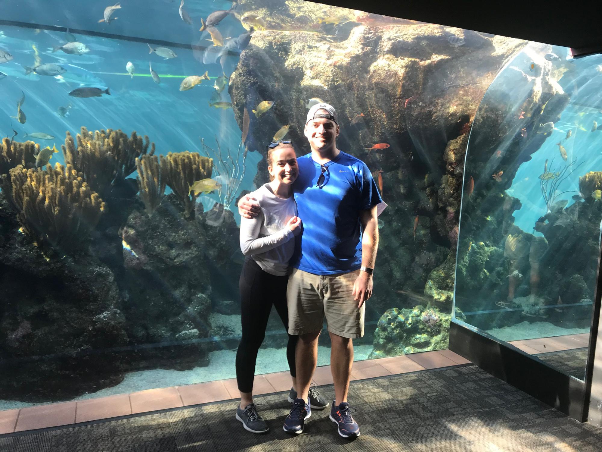 At the aquarium in Bermuda