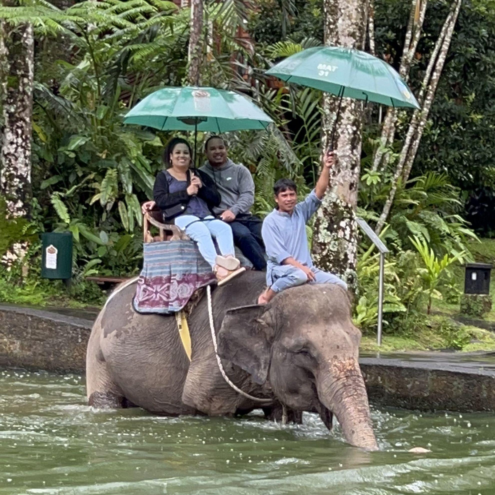 Riding an elephant in Bali