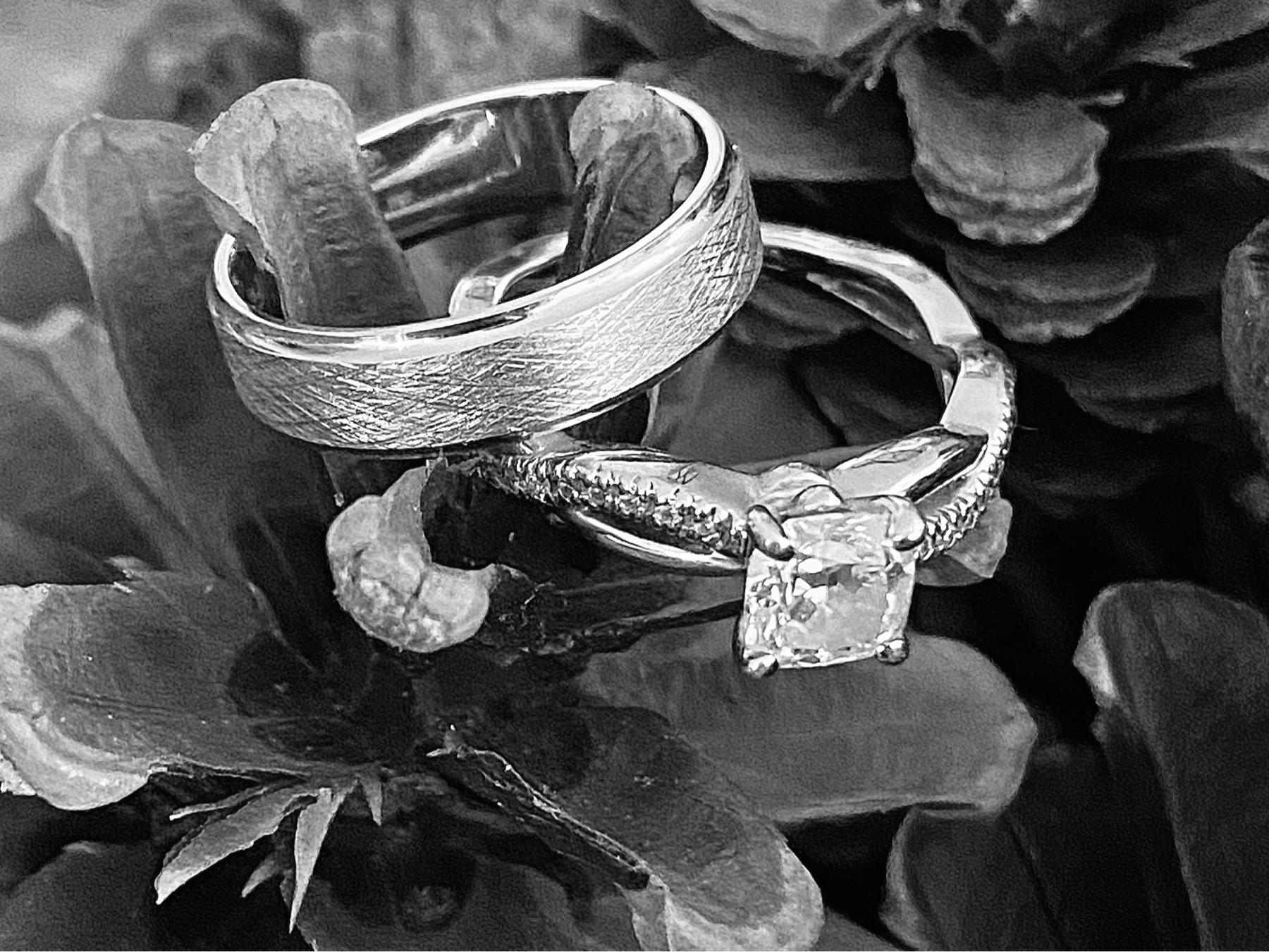 The Wedding Website of Brad Carpenter and Bree Wiest
