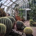 Lamberton Conservatory