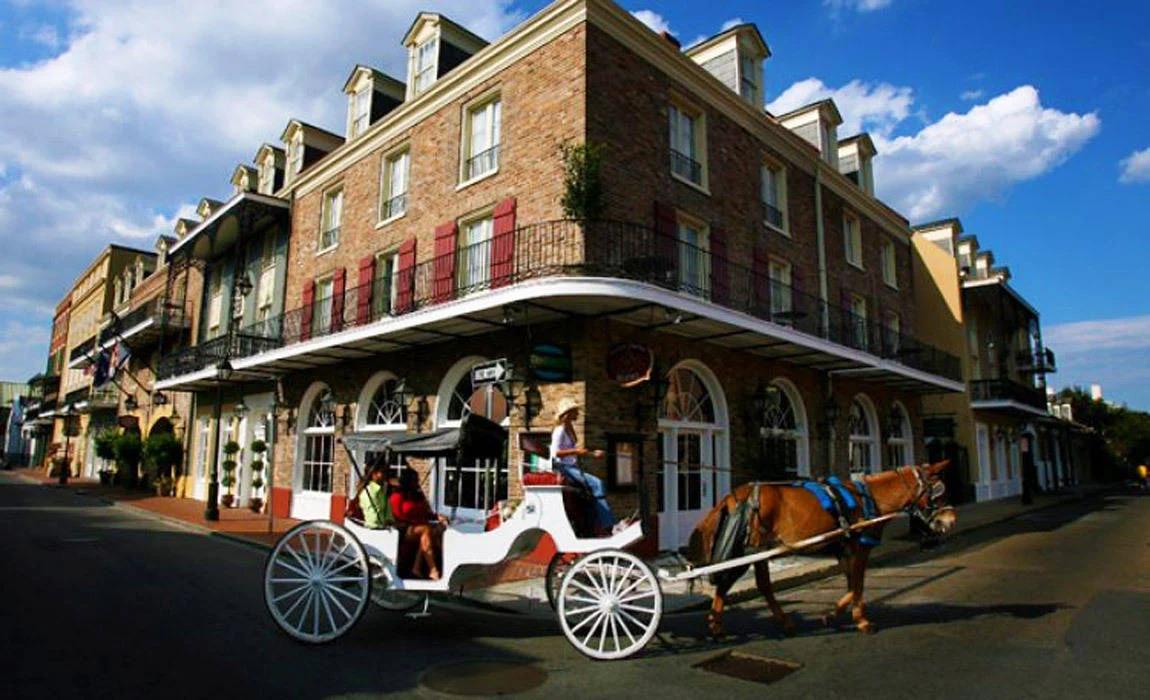 The Wedding Website of Melissa Lipstein and Christopher Abi-Assaf
