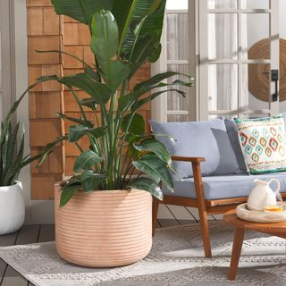 Nardo Large Planter Pot