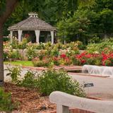 Minnesota Landscape Arboretum