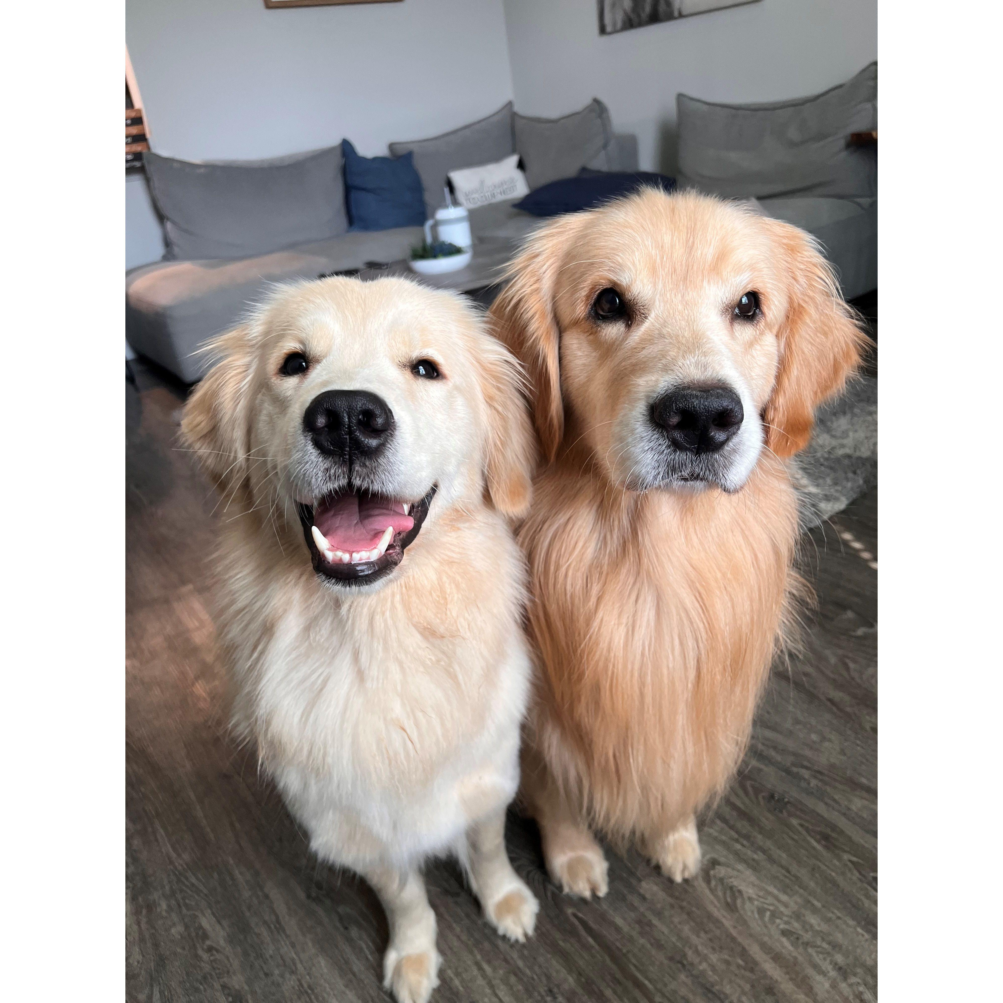 Our fur babies, Lily and Klyde