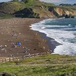 Rodeo Beach Coastal Trailhead