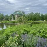 Forest Park