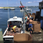 Chatham Pier & Fish Market