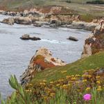 Garrapata State Park Bluff Trail