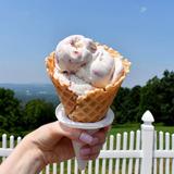 Bellvale Farms Creamery