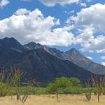 Madera Canyon - 40 min drive from Tubac