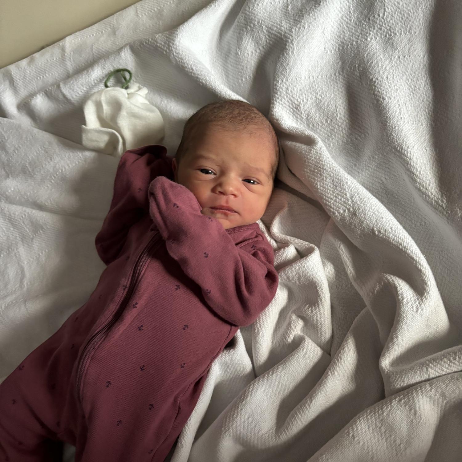 Born January 26th, 2026 during the big snowstorm of course