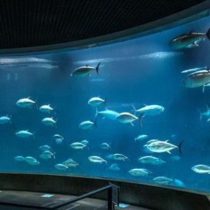 Tokyo Sea Life Park