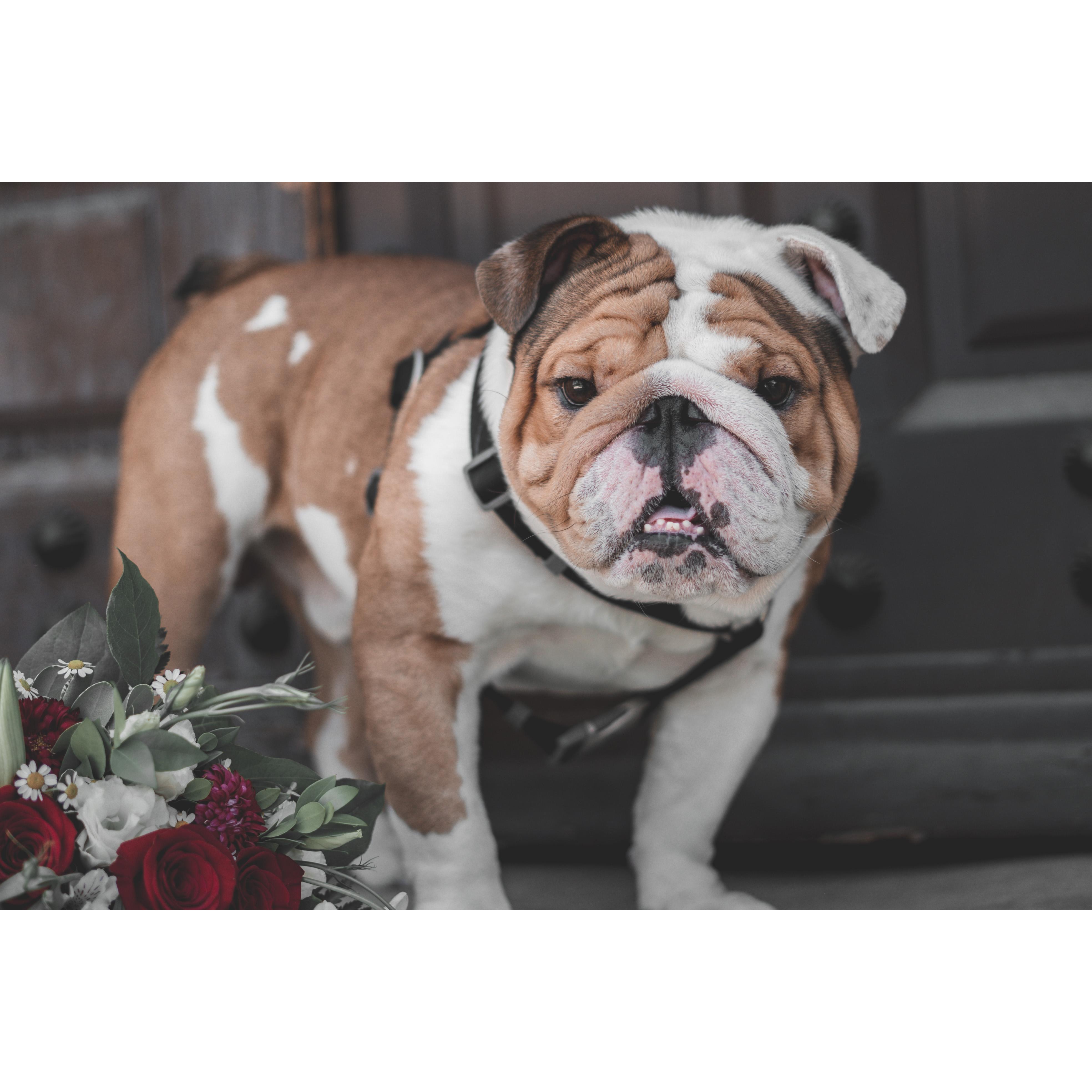 📸Alex Villarta
📍 Santa Barbara, CA