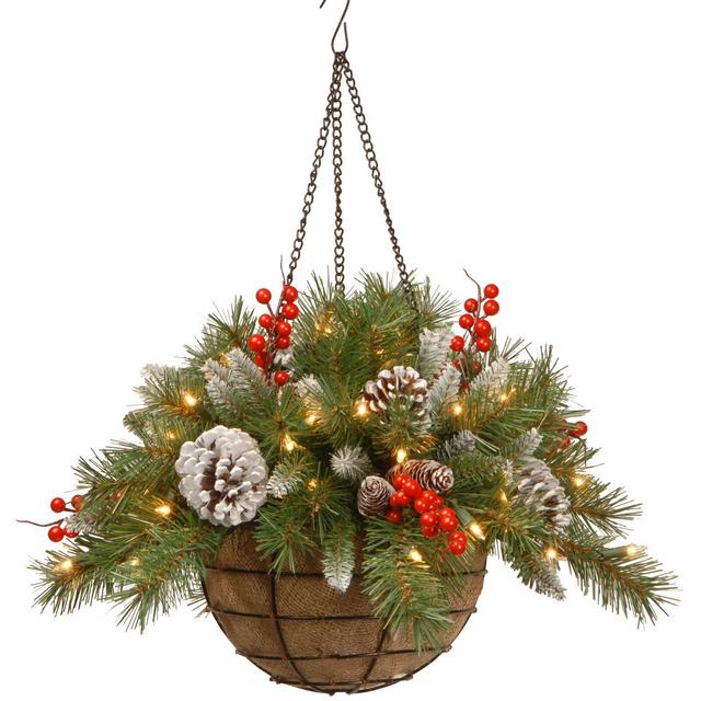 Frosted Berry Hanging Basket