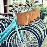 Bike Rental