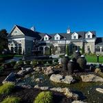 Del Vino Vineyards